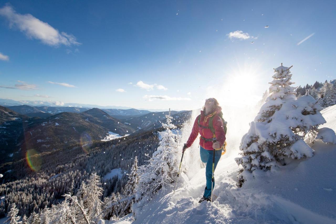 Apartmán Urlaub Am Bauernhof Gaenser Sankt Peter am Kammersberg Exteriér fotografie