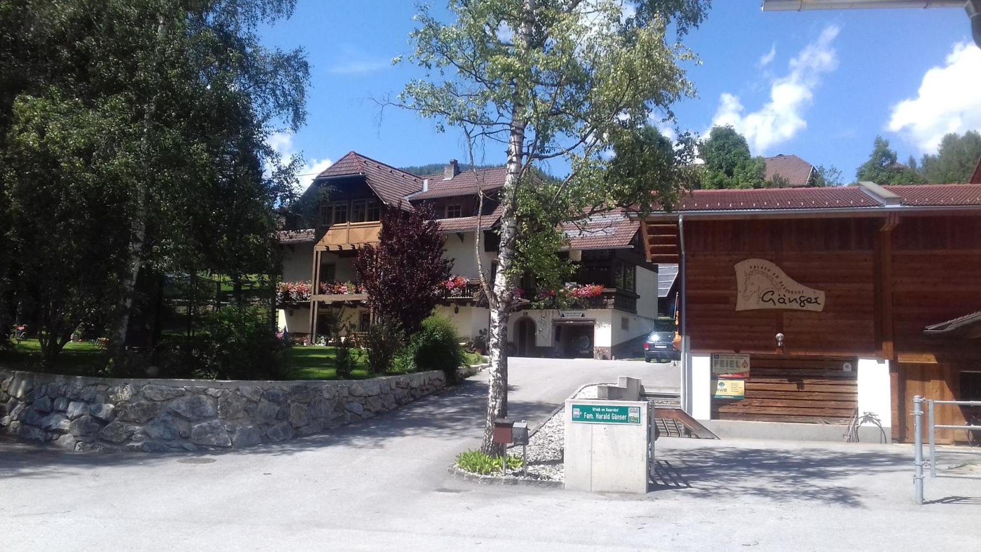 Apartmán Urlaub Am Bauernhof Gaenser Sankt Peter am Kammersberg Exteriér fotografie