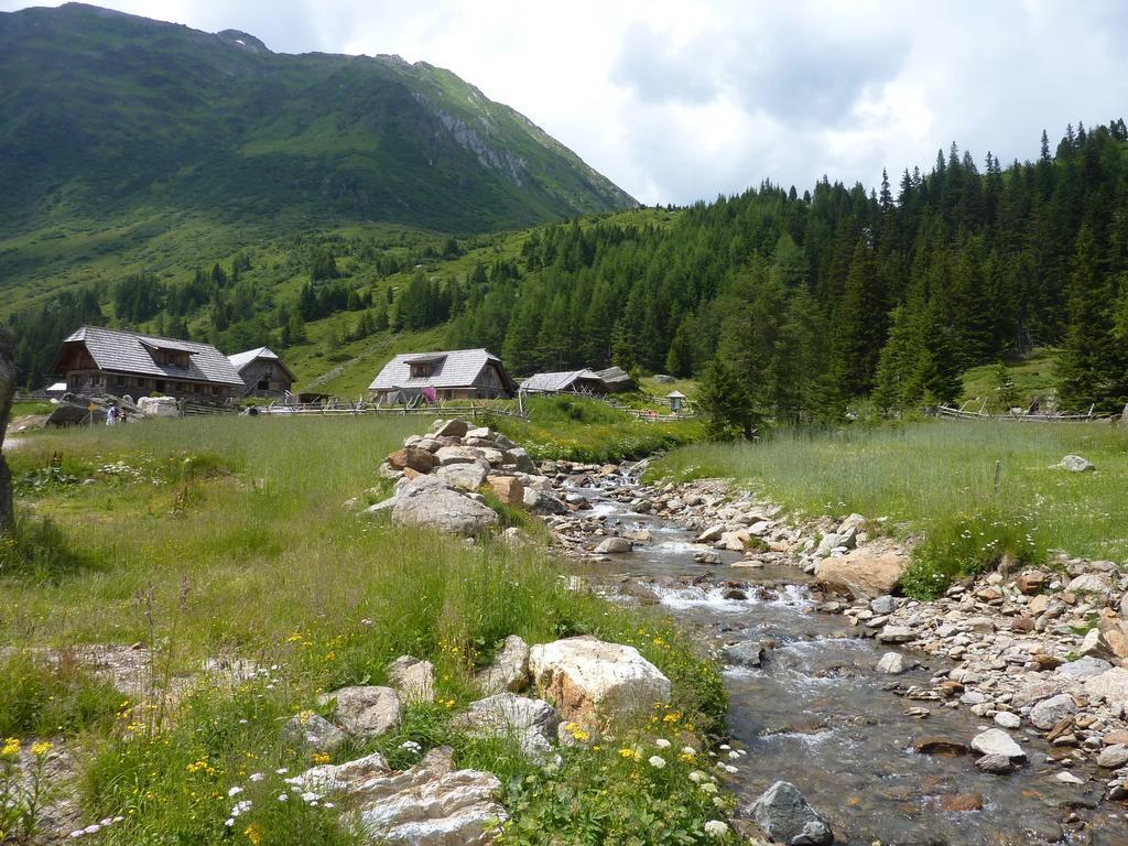 Apartmán Urlaub Am Bauernhof Gaenser Sankt Peter am Kammersberg Exteriér fotografie